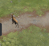 Sanitised original crop showing an animal after an uncertain errand interaction