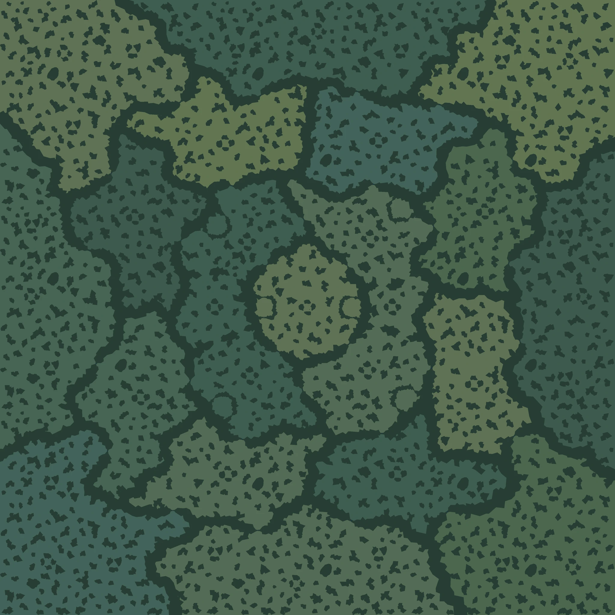 Native tactical geometry of Expedition to England